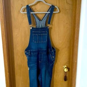 Torrid Overall, used like new